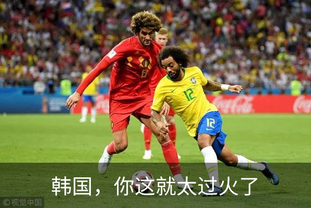 韩国，你这就太过火了